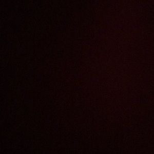 Meet your Posher, Jazmin